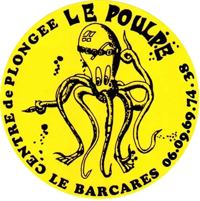 logo le poulpe