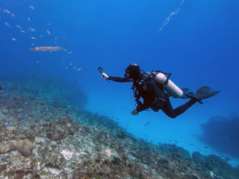 Formation FFESM à LE BARCARES 