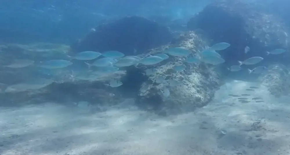 Centre de plongee baptemes (4)