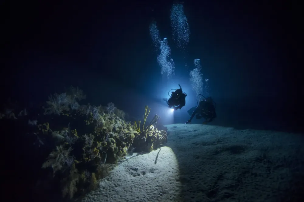 Centre de plongee baptemes (18)