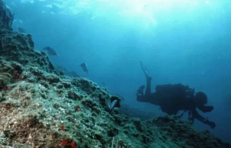 Le poulpe explorations (5)