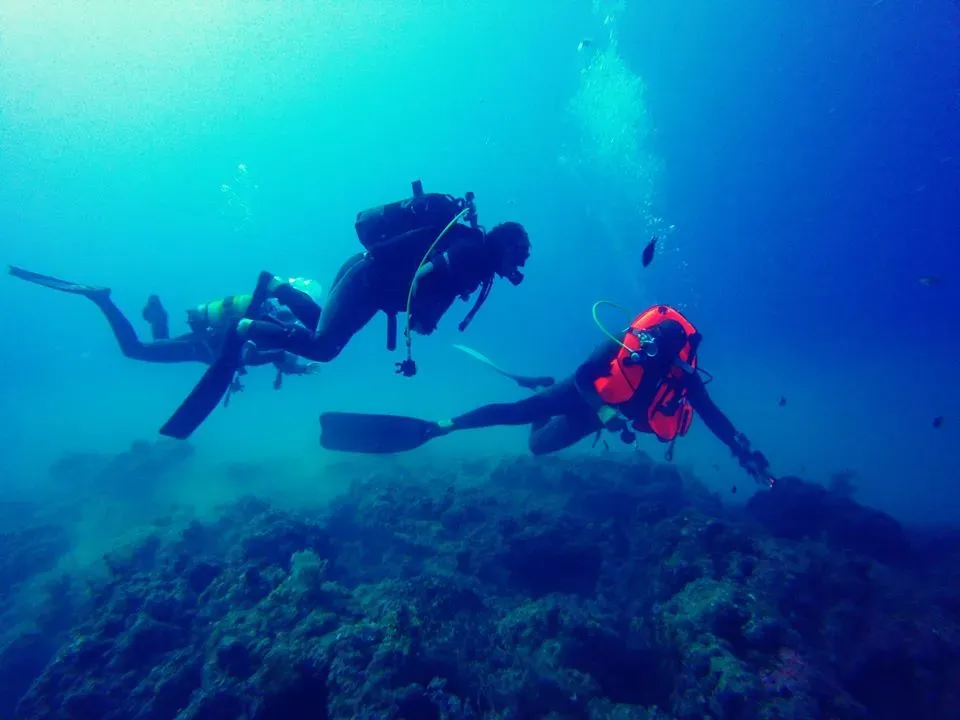 Le poulpe explorations (8)