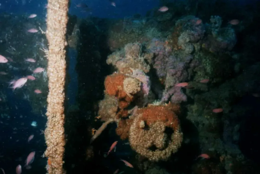 Barcares centre de plongee exploration (10)