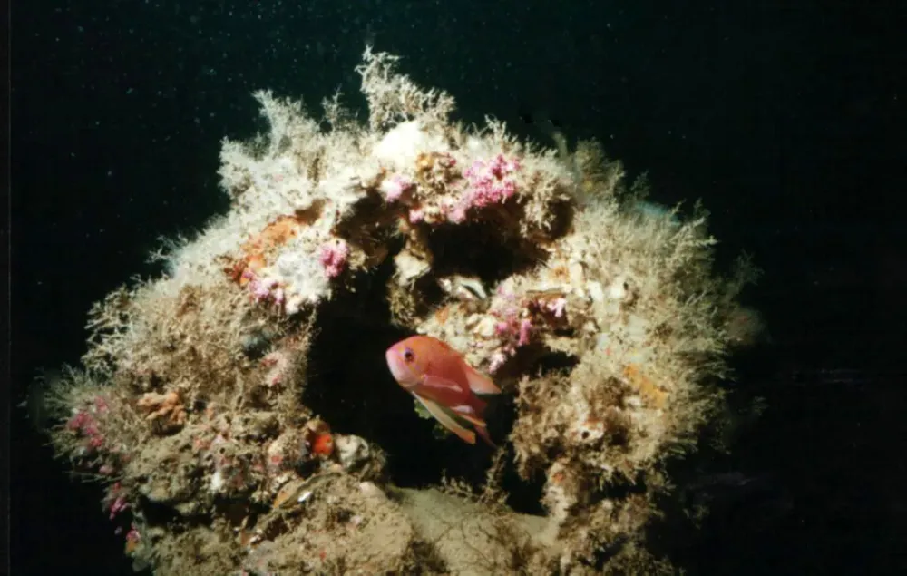 Barcares centre de plongee exploration (14)