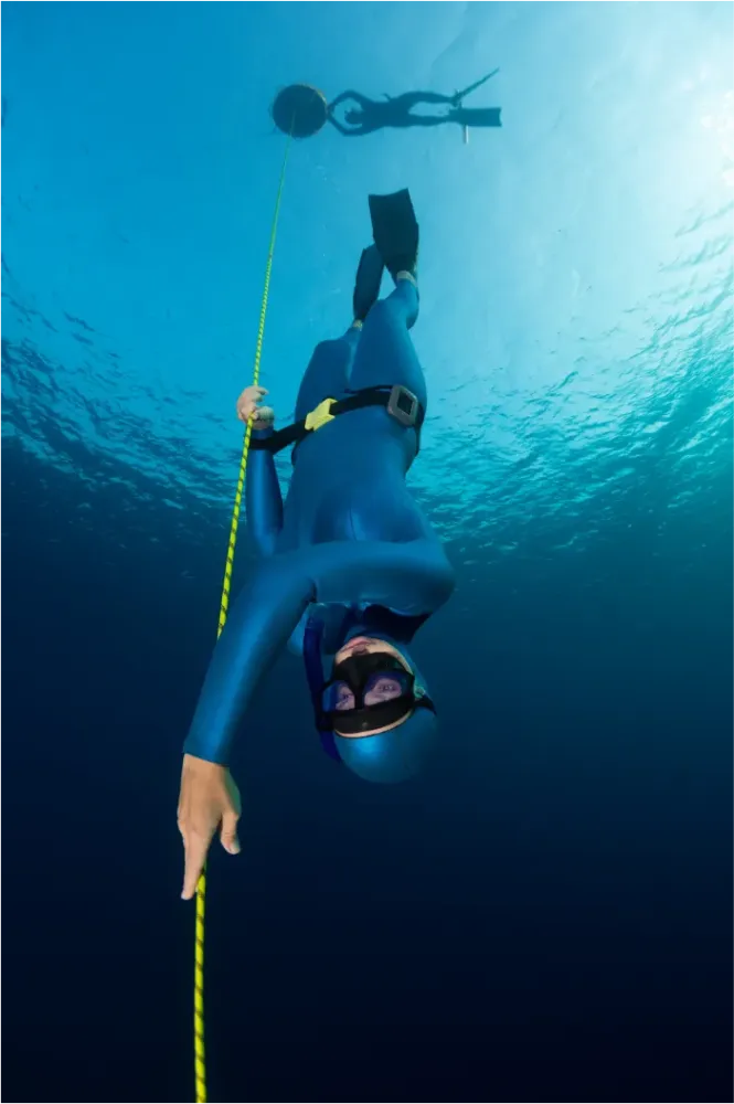 Freedive (3)