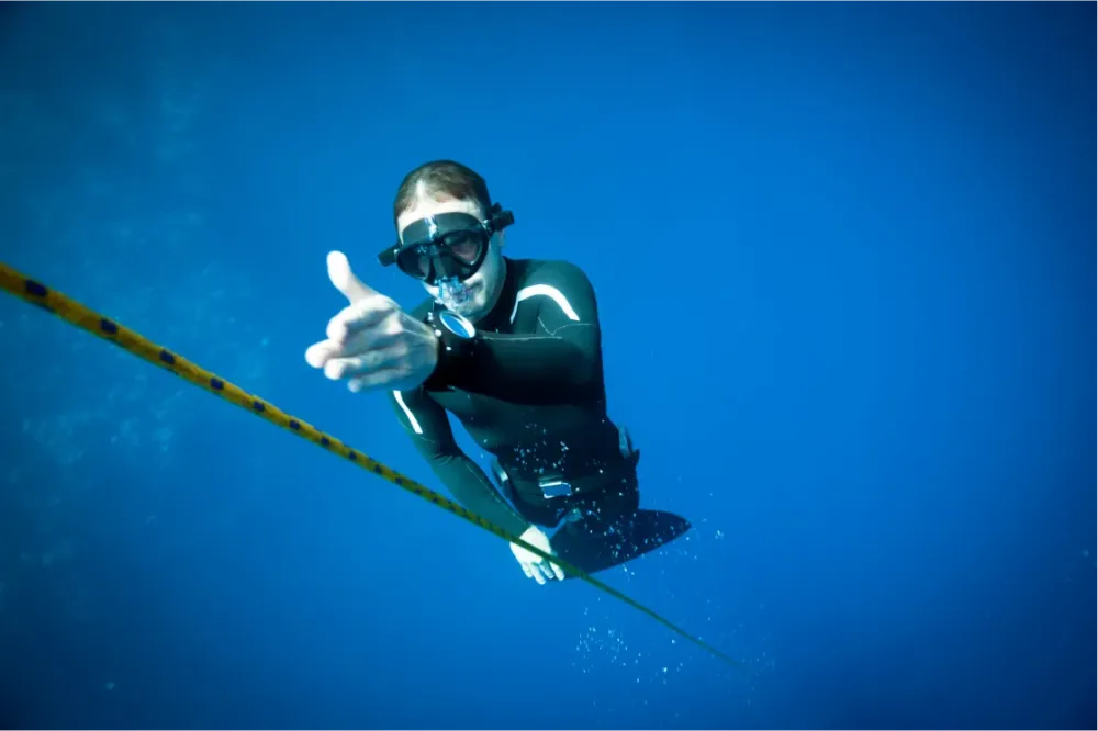 Freedive (10)