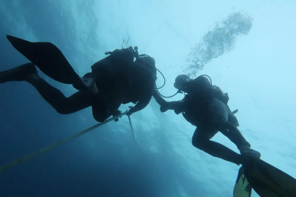 Formation encadrant (16)